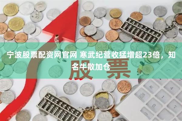宁波股票配资网官网 寒武纪营收猛增超23倍，知名牛散加仓