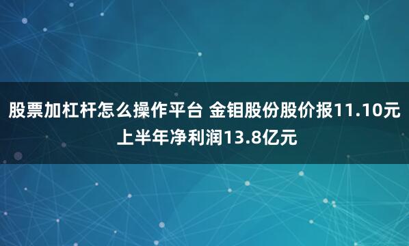 股票加杠杆怎么操作平台 金钼股份股价报11.10元 上半年净利润13.8亿元