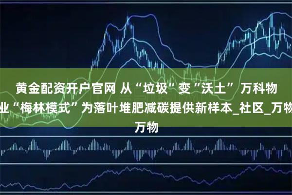黄金配资开户官网 从“垃圾”变“沃土” 万科物业“梅林模式”为落叶堆肥减碳提供新样本_社区_万物