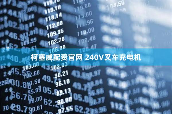 柯塞威配资官网 240V叉车充电机