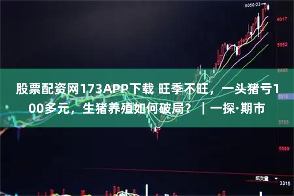 股票配资网173APP下载 旺季不旺,一头猪亏100多元,生猪养殖如何破局?|一探·期市